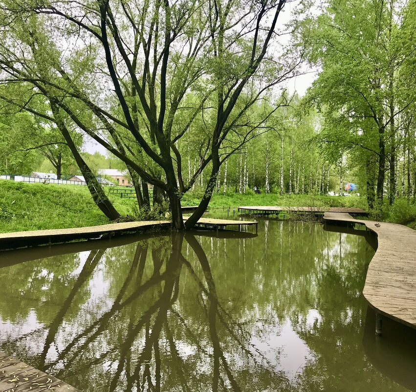 Утиный пруд - Татьяна 