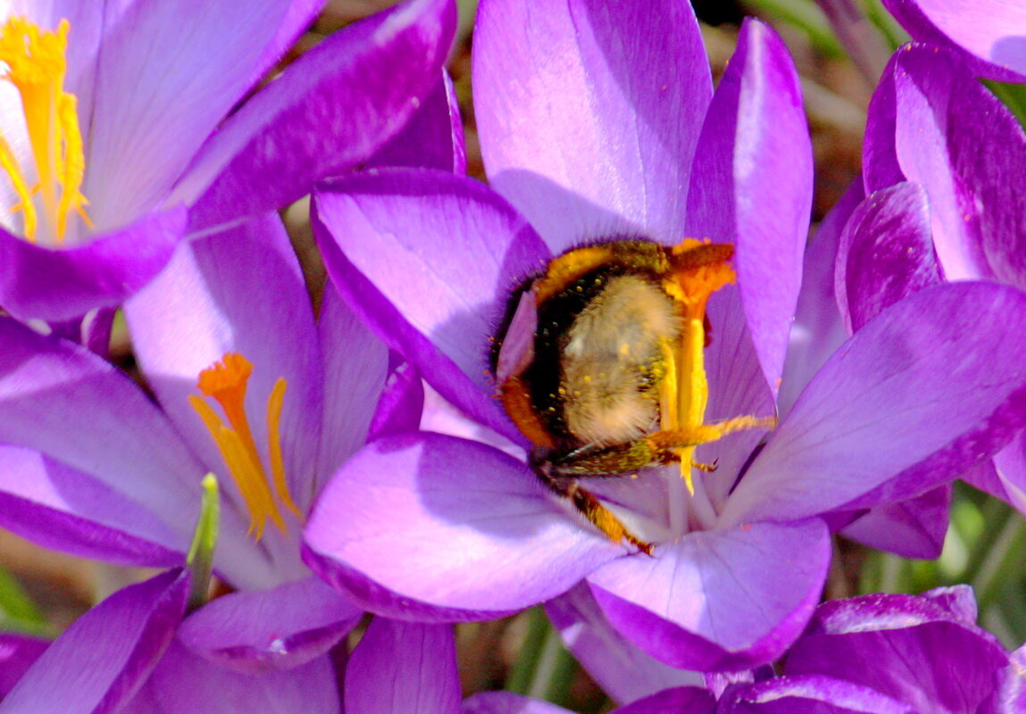 Извините, что я к вам задом... - Александр Чеботарь Извините, что я к вам задом... - Александр Чеботарь