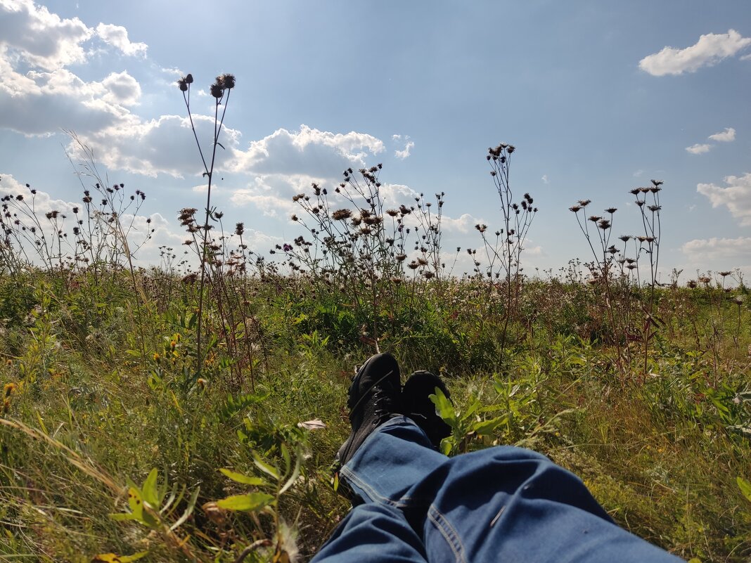 ...и пусть весь мир подождет) - Андрей Петренко