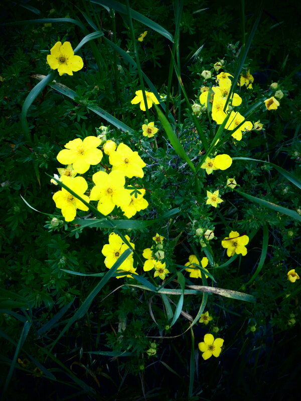 Весенние зарисовки 149 - Алексей Кузнецов