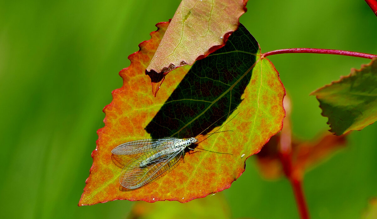 из сегодняшней съемки 3 - Александр Прокудин из сегодняшней съемки 3 - Александр Прокудин
