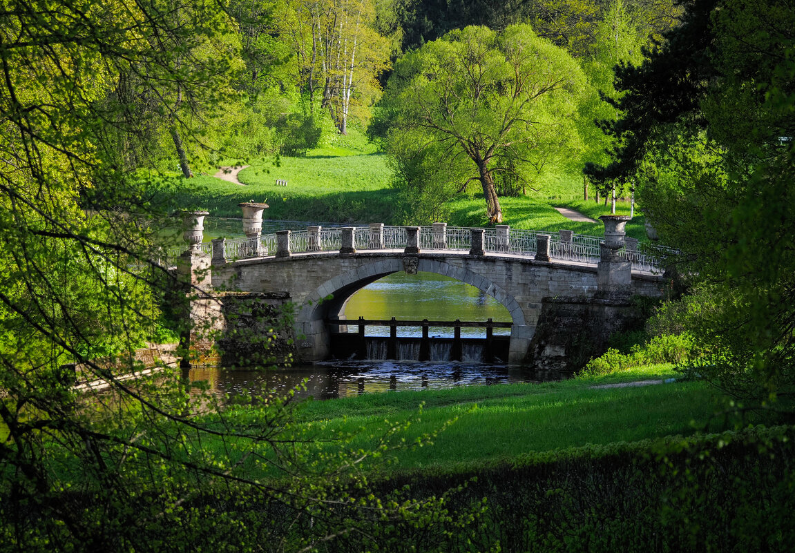 В Павловском парке - Магомед . В Павловском парке - Магомед .