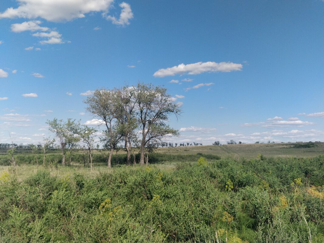 Степные просторы Сары Арки. - Андрей Хлопонин Степные просторы Сары Арки. - Андрей Хлопонин