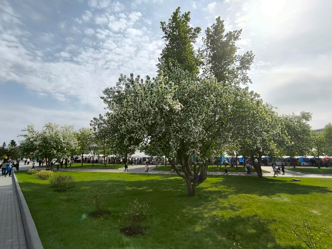 Цветущий май - Валентина Богатко 