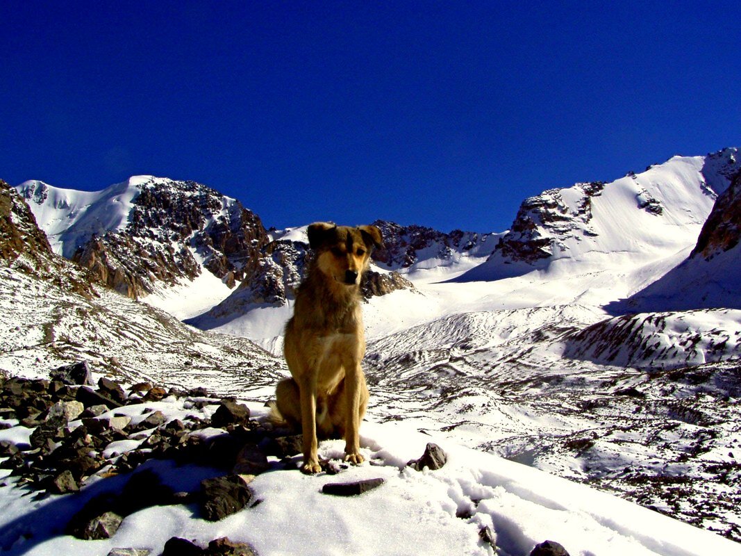 ПО ВЕРХАМ. - Виктор Осипчук ПО ВЕРХАМ. - Виктор Осипчук