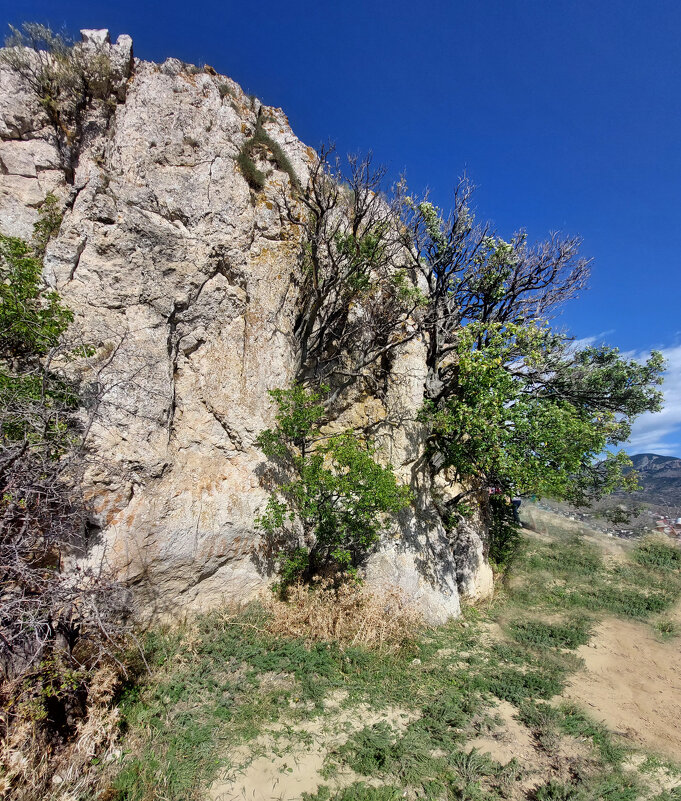 В каменных объятиях - ИРЭН@ . В каменных объятиях - ИРЭН@ .