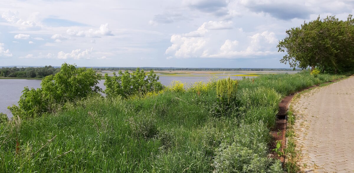 Свияжские просторы - Ольга Свияжские просторы - Ольга