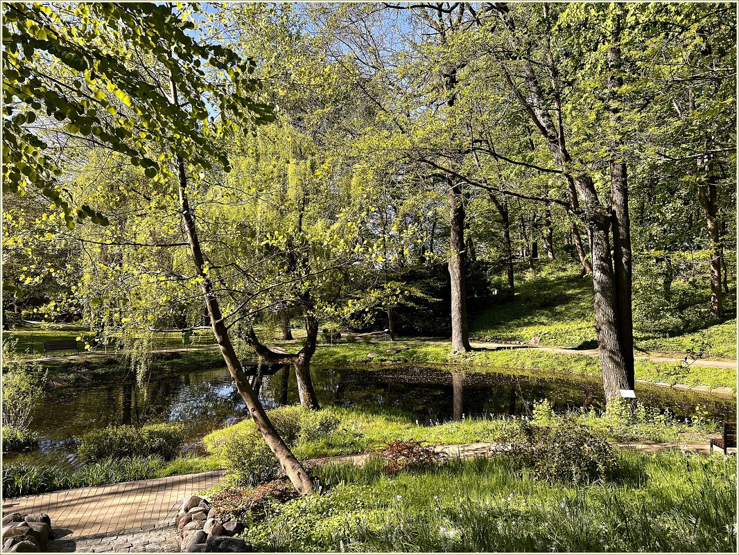 Природа Ландшафтного парка. - Валерия Комова Природа Ландшафтного парка. - Валерия Комова