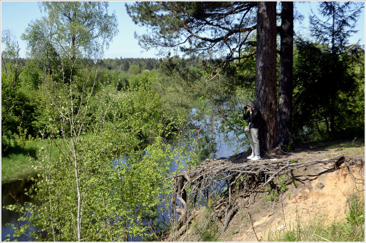 Весна пришла... - Aleksandr Gal Весна пришла... - Aleksandr Gal