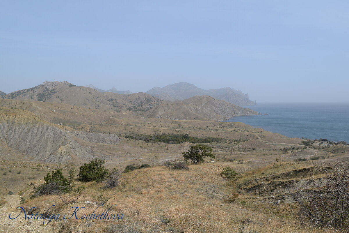 Природа Крыма - Amazing Cosmea Природа Крыма - Amazing Cosmea