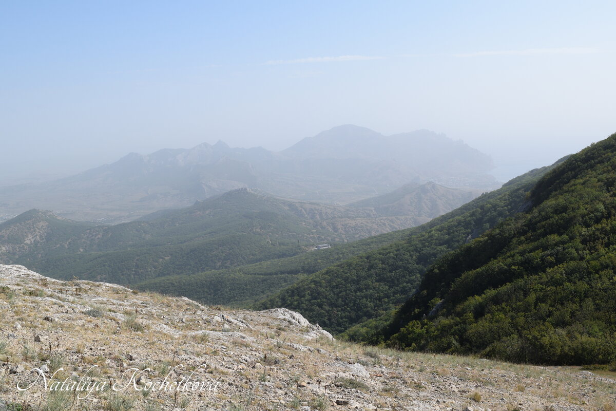 Природа Крыма - Amazing Cosmea