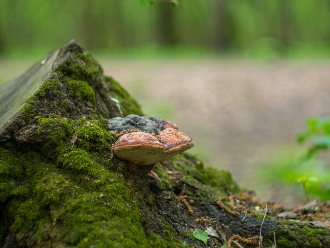 ___ - Yuriy V ___ - Yuriy V