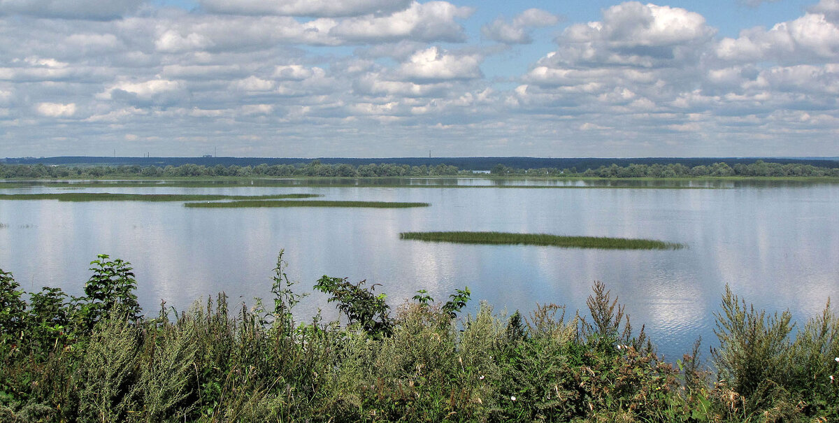 Река Щука - Александр Ильчевский 
