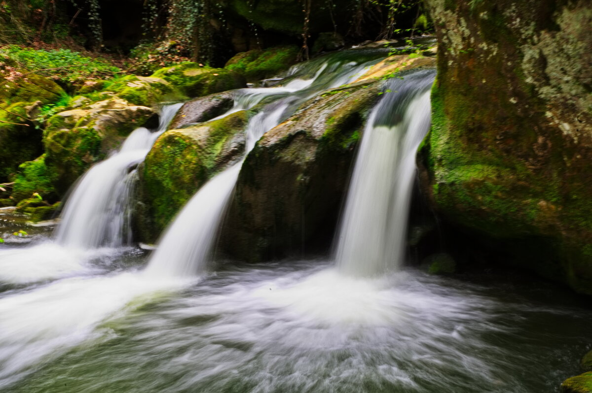 *** - Witalij Loewin