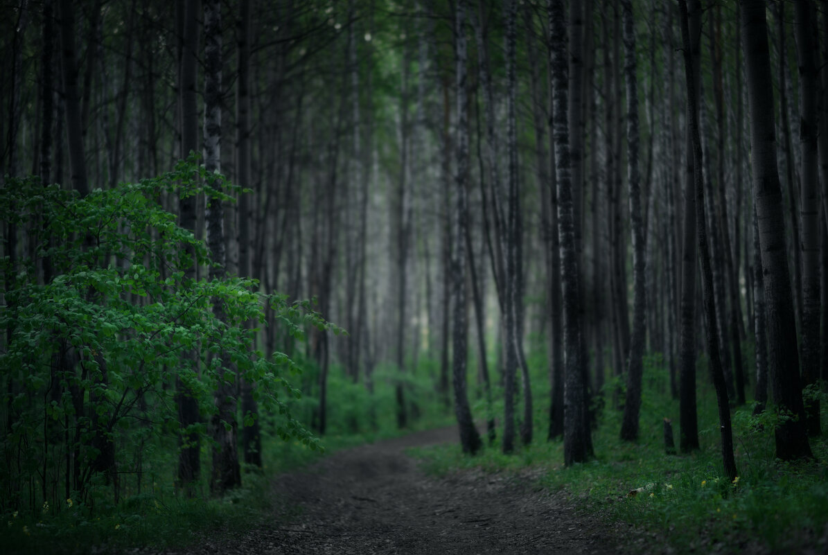 * - Александр Иванов