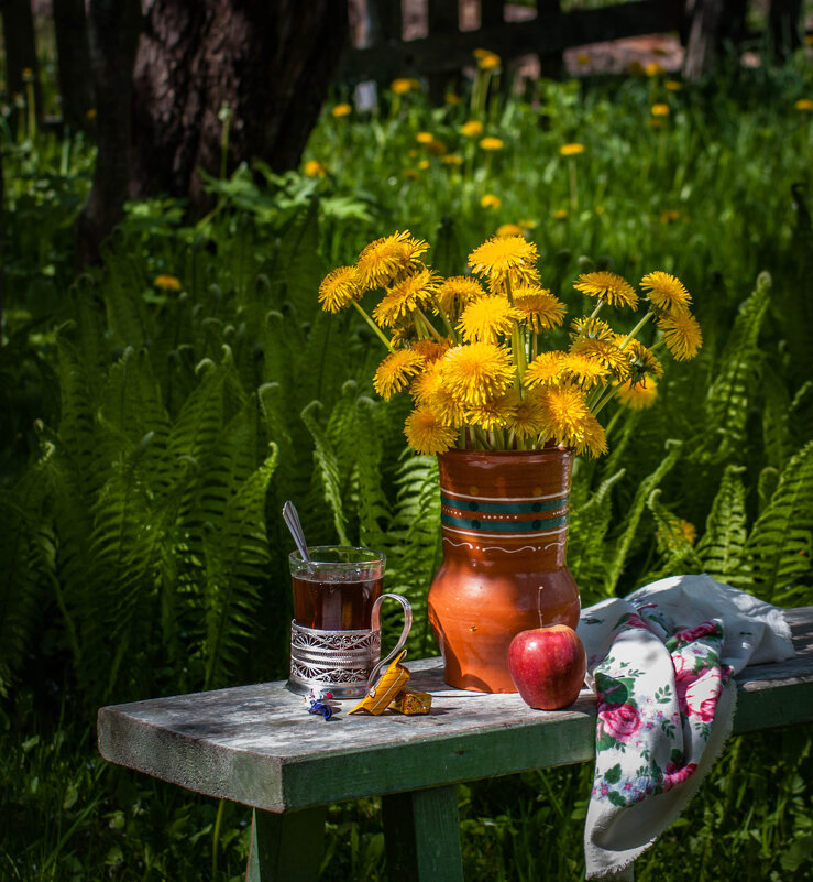 На скамеечке в садочке. - Анатолий Нецепляев