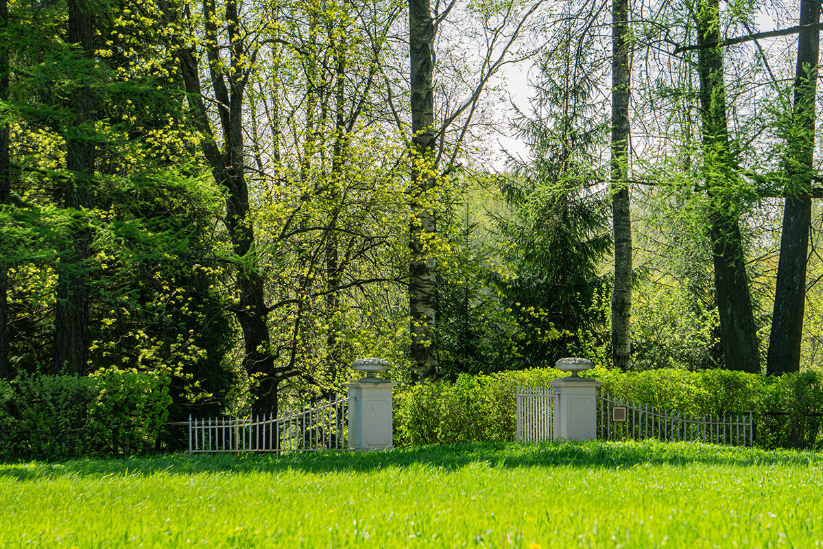 Весенний Павловск - Ирина Соловьёва Весенний Павловск - Ирина Соловьёва