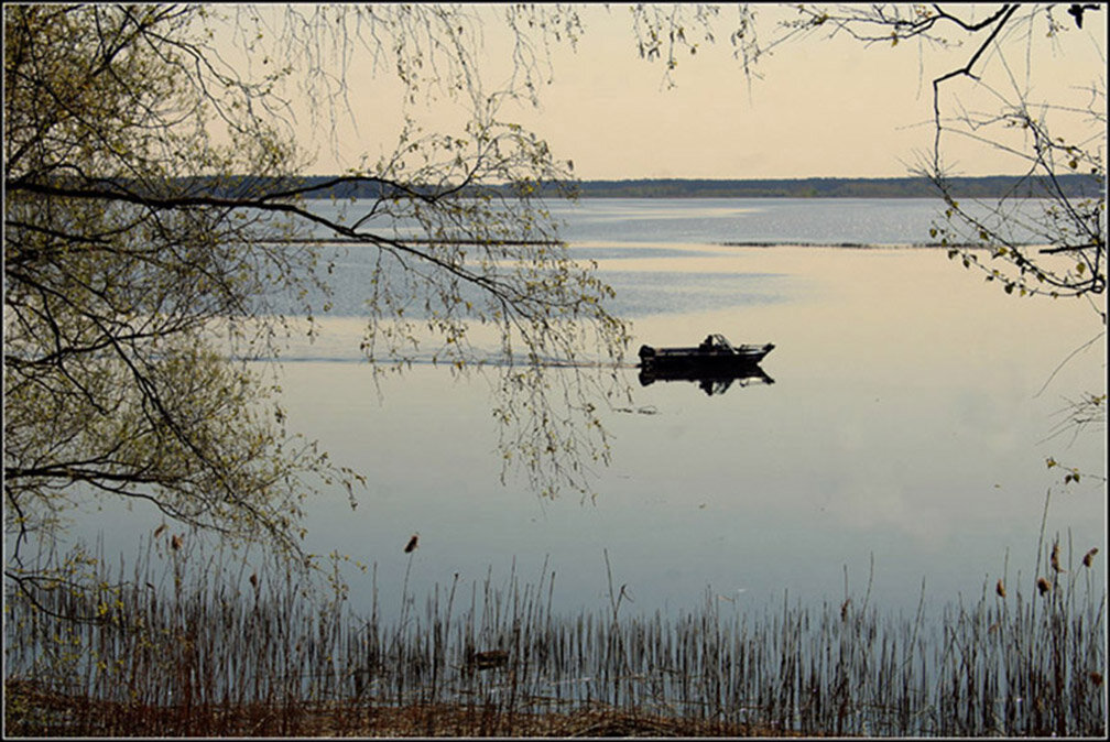 Весенний сезон открыт.... - Aleksandr Gal