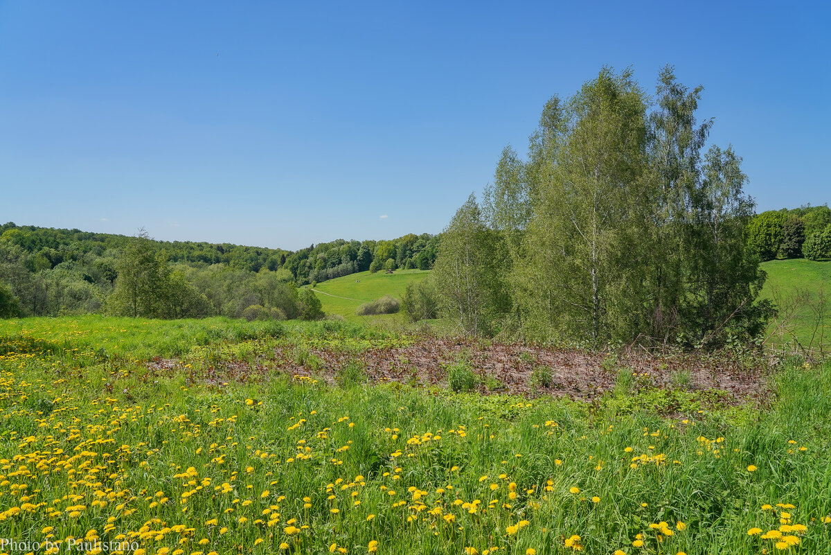 Май в Царицыно... - Владимир Жданов Май в Царицыно... - Владимир Жданов