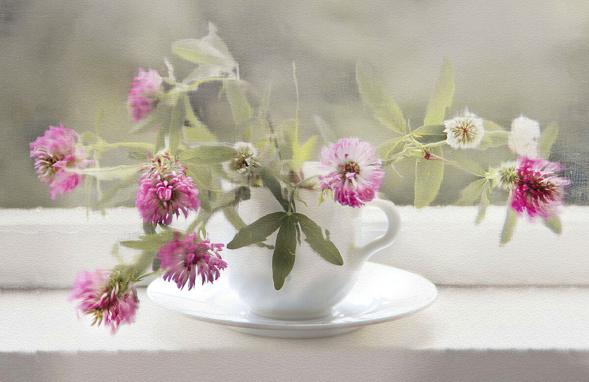 . - РИТА ЛЕВКОВА