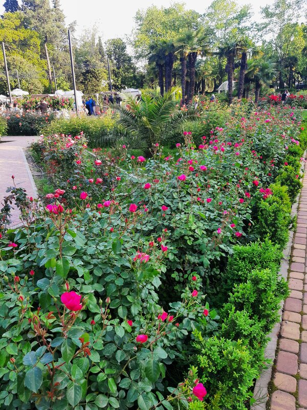 РИВЬЕРА - Tata Wolf