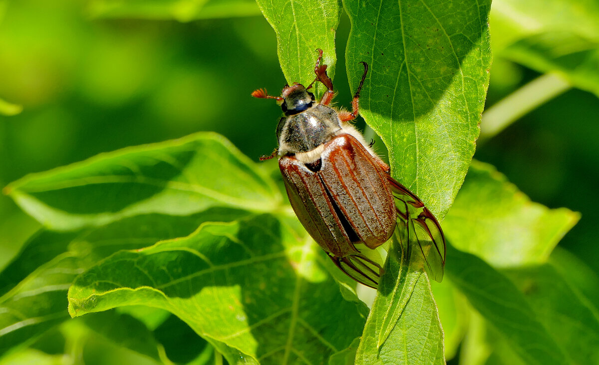 из вчерашней съемки  1 - Александр Прокудин