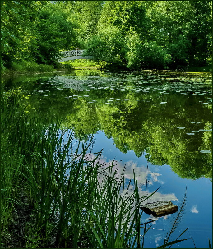 *** - Наталья Rosenwasser *** - Наталья Rosenwasser