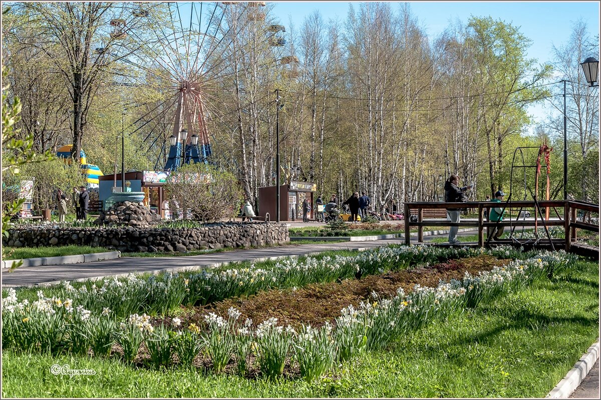 Весенний парк... - Aquarius - Сергей Весенний парк... - Aquarius - Сергей