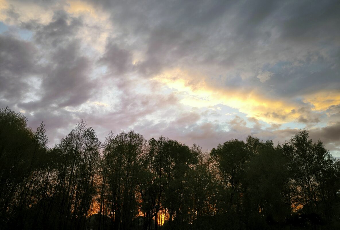 Майский закат в Подмосковье - Елена 