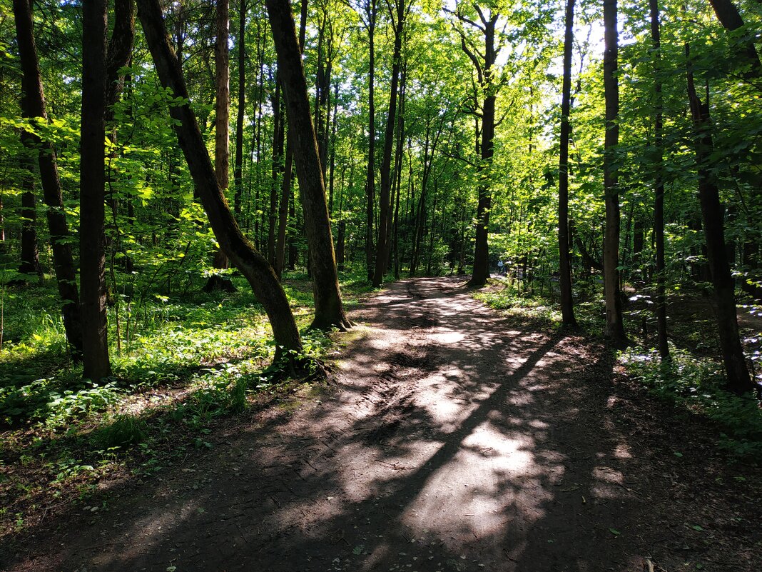 И снова тепло - Андрей Лукьянов