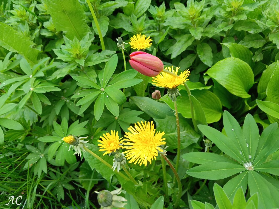 После водных процедур - Любовь Сахарова После водных процедур - Любовь Сахарова