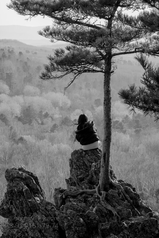 Умиротворение - Сергей Флетчер