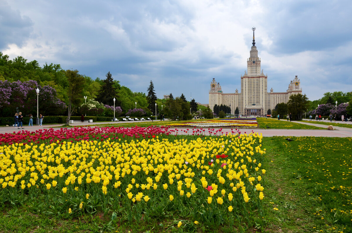 Весенняя Москва. Воробьевы горы. - Наташа ***** Весенняя Москва. Воробьевы горы. - Наташа *****
