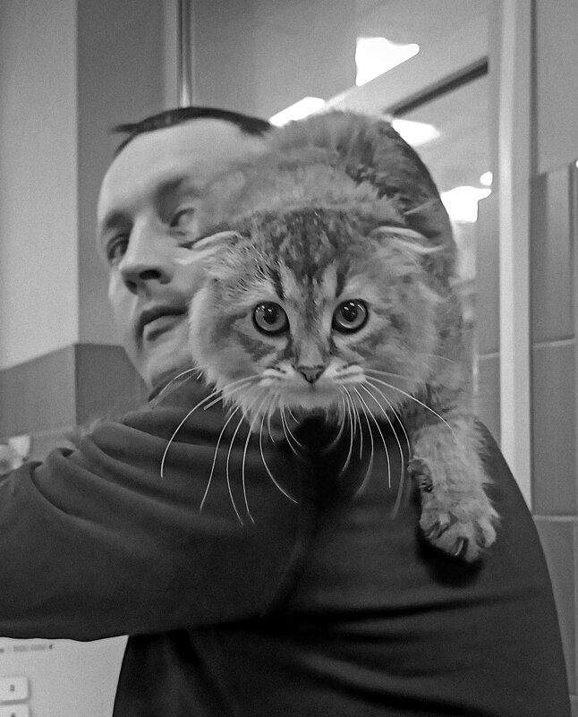 ** - Борис Руднев