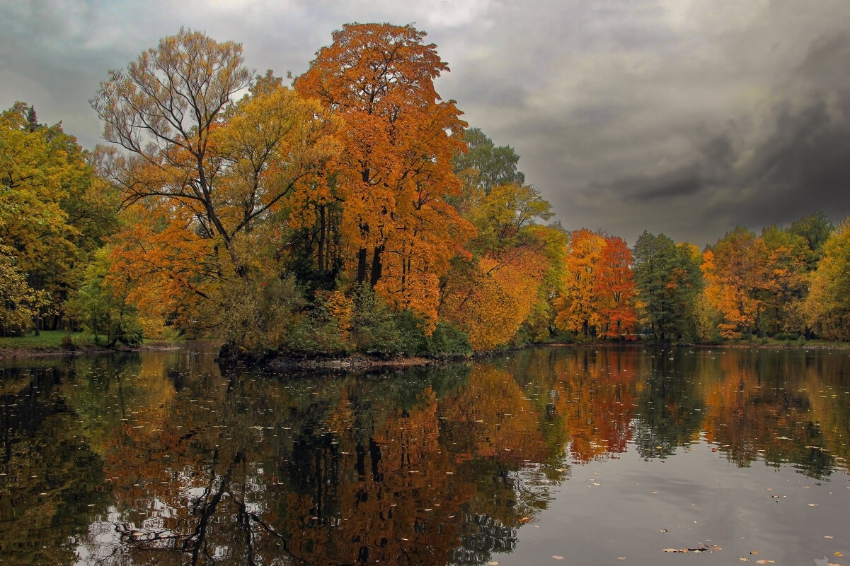 Елагин остров - skijumper Иванов Елагин остров - skijumper Иванов