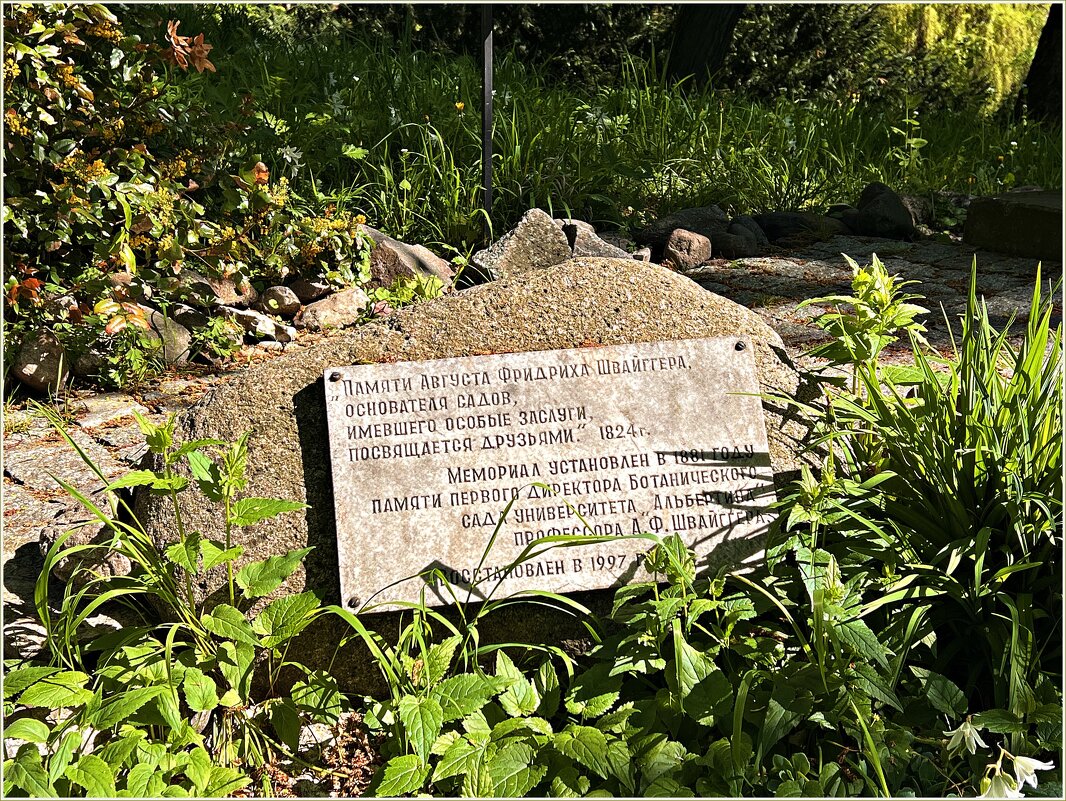 ****** - Валерия Комова