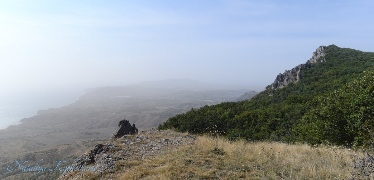 Природа Крыма - Amazing Cosmea
