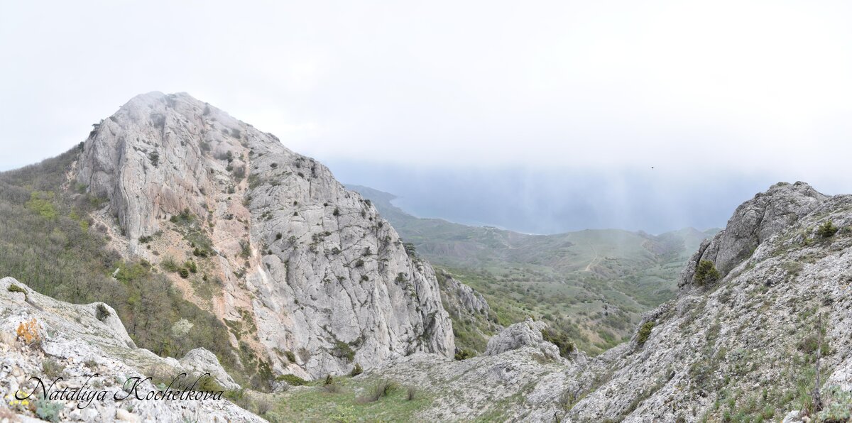 Природа Крыма - Amazing Cosmea