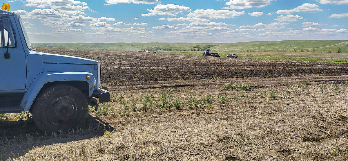 посев пшеницы - Александр Никишков посев пшеницы - Александр Никишков
