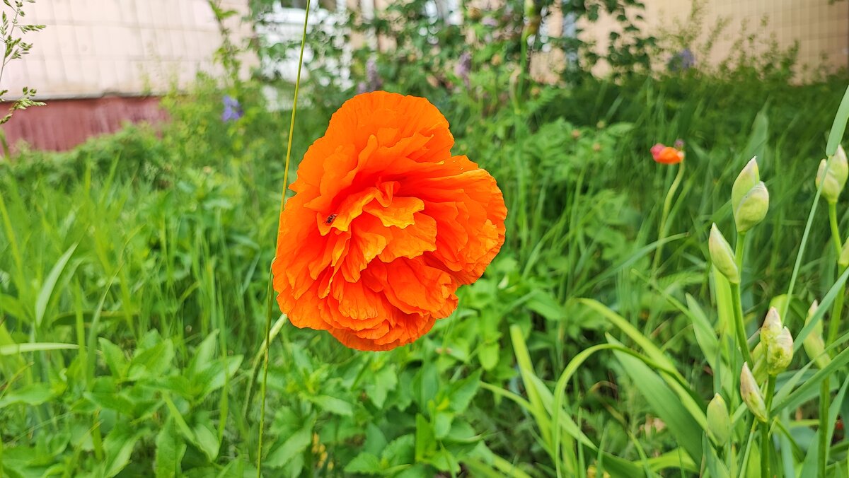 ,,, - Сергей Тимоновский