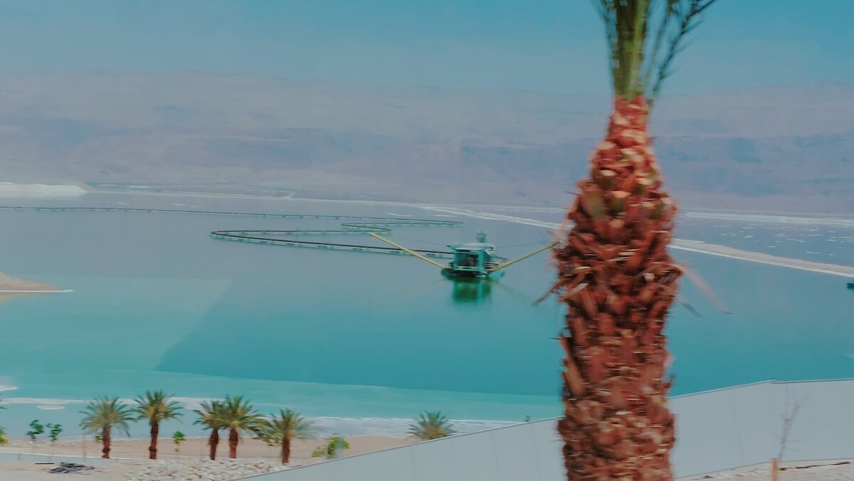 13  ОПЕН (51) - OPEN WAYS ALL