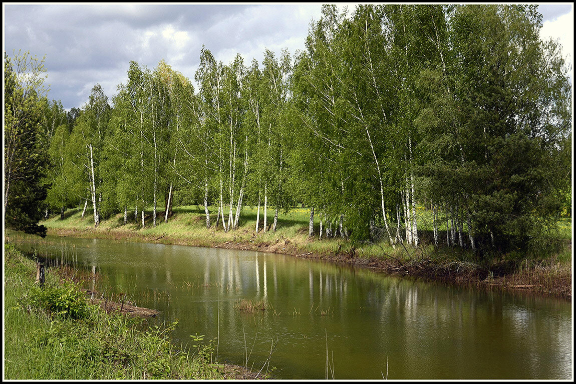 ....идет зеленый шум.... - Aleksandr Gal ....идет зеленый шум.... - Aleksandr Gal