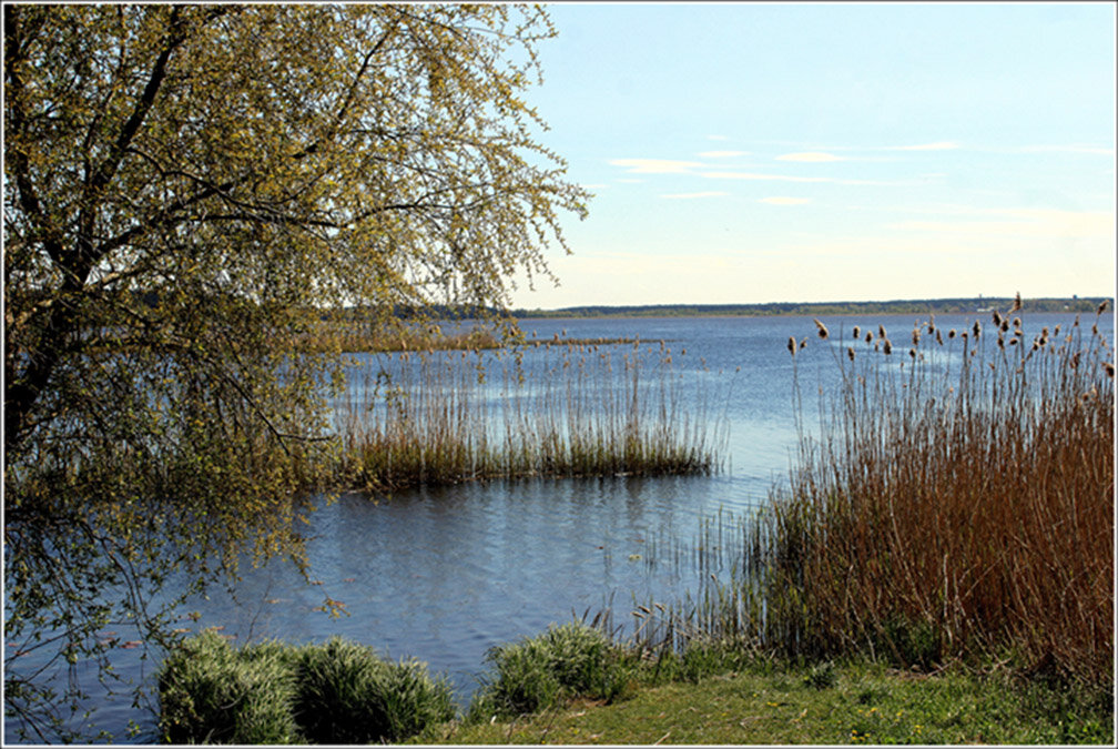 На озере - Aleksandr Gal На озере - Aleksandr Gal