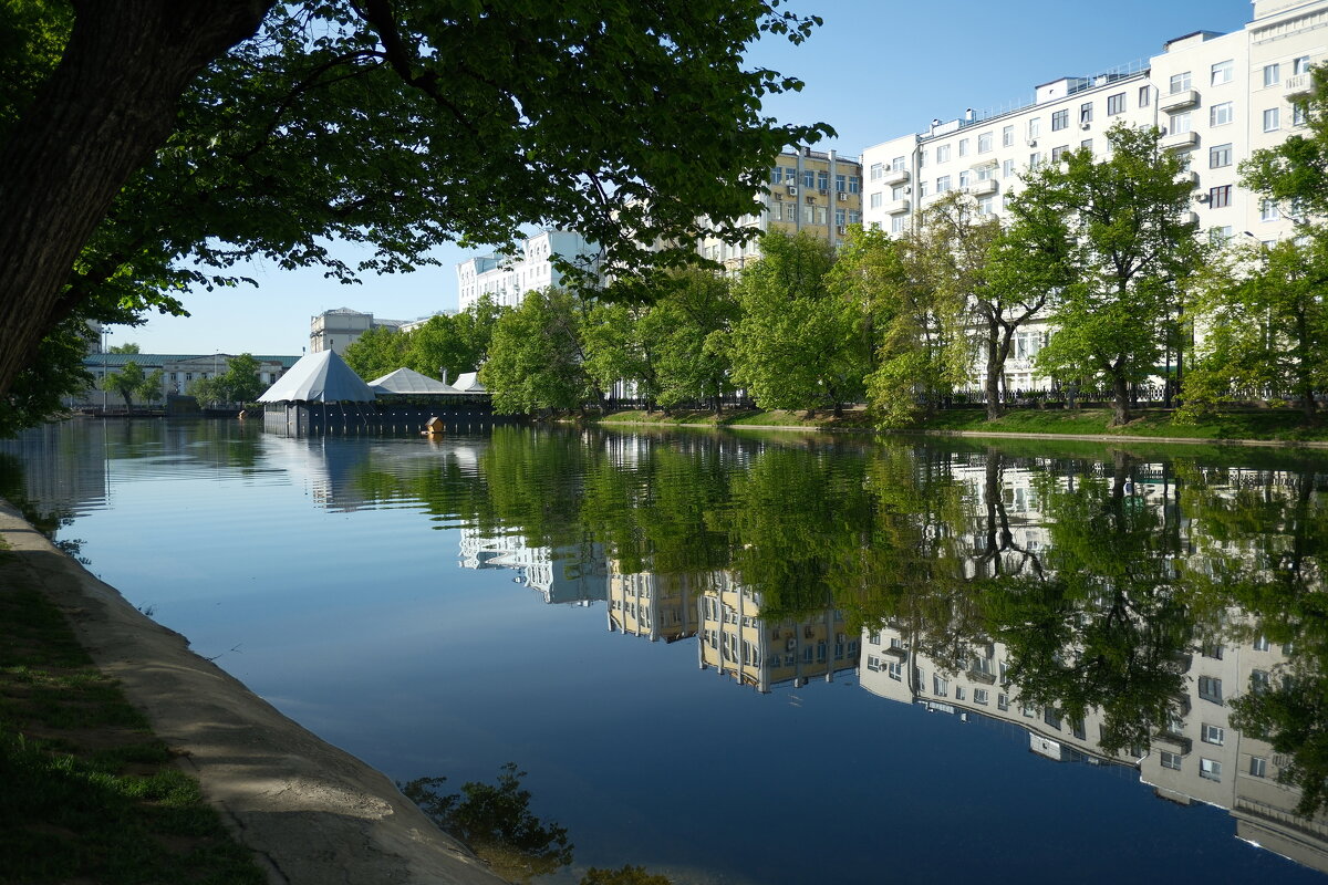 Чистые пруды - Лютый Дровосек Чистые пруды - Лютый Дровосек
