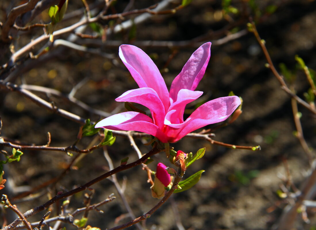 Удивительное рядом - Vlad Сергиевич