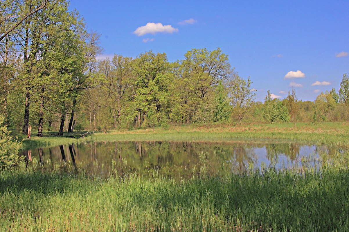 Озерцо - Евгений Корьевщиков