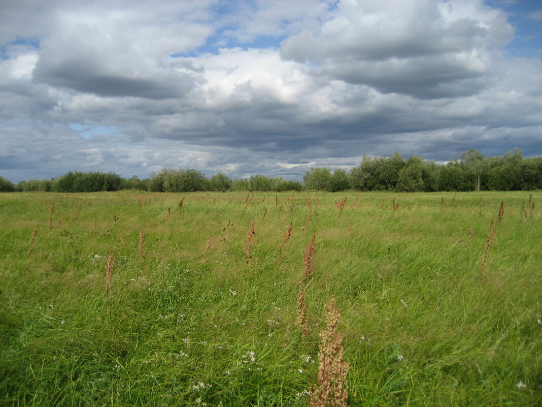 Лето - Anna Ivanova Лето - Anna Ivanova