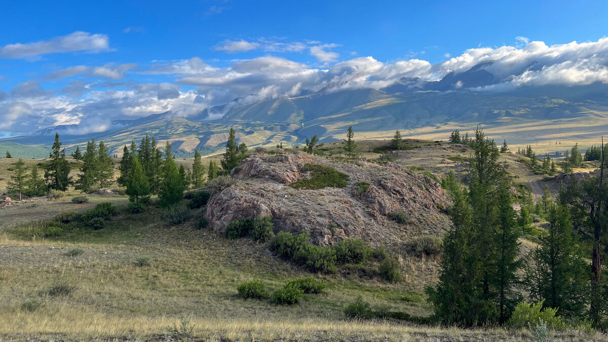 *** - владимир 