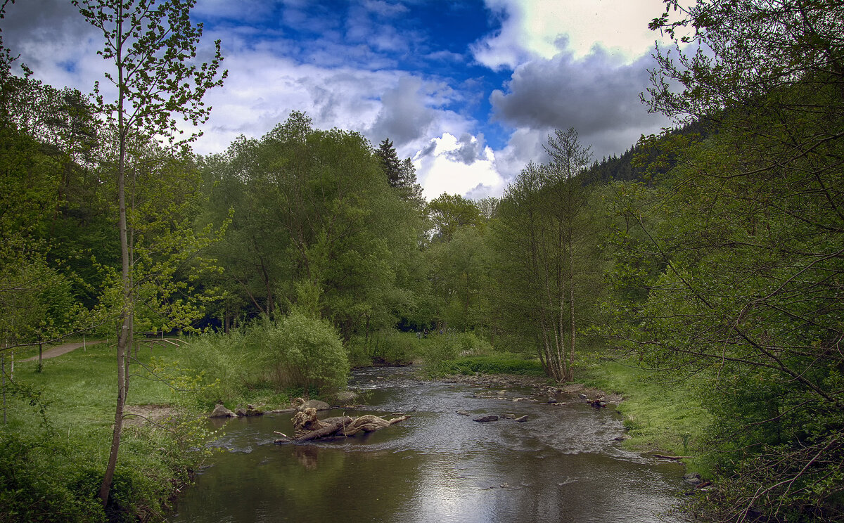 **** - Андроник Александр **** - Андроник Александр