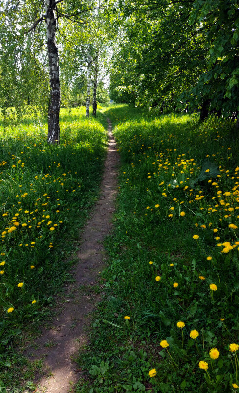 *** - Владимир Безбородов *** - Владимир Безбородов